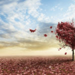 儲かるコンテンツは愛でできている。アフィリエイト10か月目(2018年8月)の報酬金額を公開